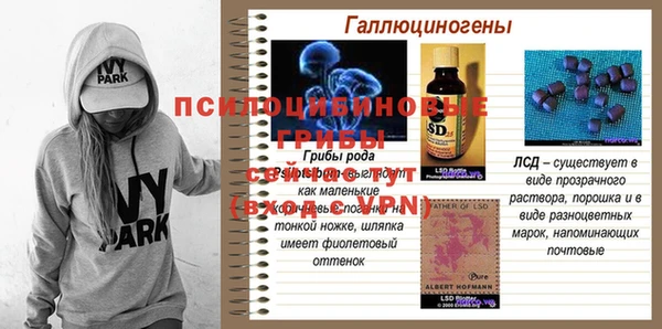 сатива Абаза