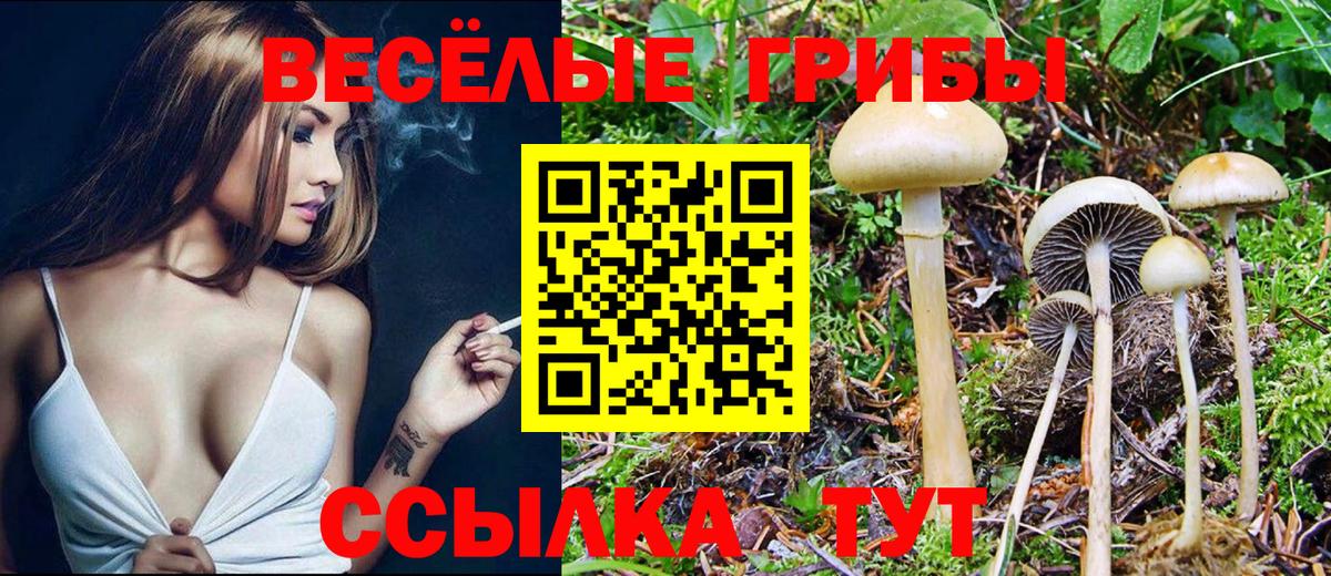 Галлюциногенные грибы Magic Shrooms  Вход с VPN  Аксай 