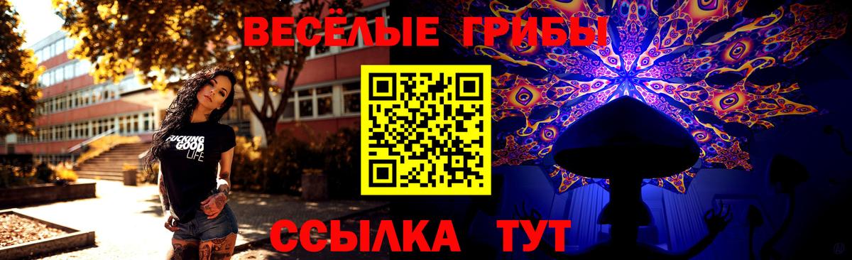 Галлюциногенные грибы Cubensis Аксай